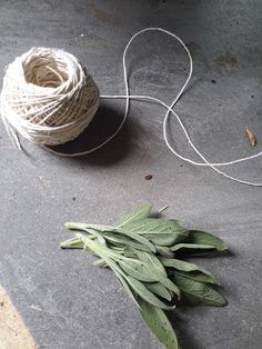 a sprig of sage next to a ball of twine on the ground