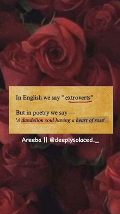 a bunch of red roses that are next to each other with the words in english we say extroverss but in poetry we say