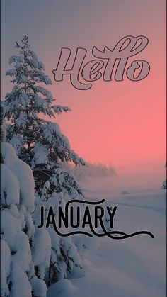 the words hello january are written in black on a snowy background with a pine tree