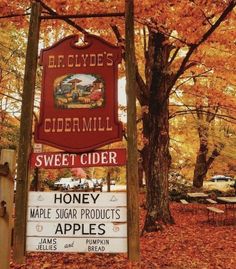 a sign for an apple cider in front of trees with leaves on the ground