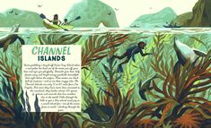 an illustration of people in kayaks paddling through the water with seaweed and other marine life