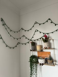 a shelf with some plants and potted plants on it in a white walled room