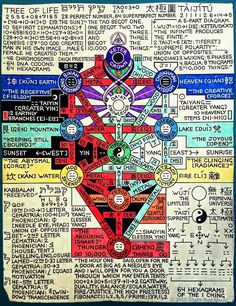 Tree Of Life Yggdrasil, Kabala Tree Of Life, Kabbalah Tree Of Life, Tree Of Life Pictures, Seven Stars, Esoteric Symbols, Occult Science