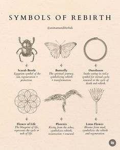 Tattoo Ideas For Empaths, Feminine Energy Tattoo Symbols, Earth Goddess Tattoo Divine Feminine, Devine Tattoo, Rebirth Symbol, Rebirth Tattoo, Grateful For Life, Pagan Tattoo, Wiccan Tattoos