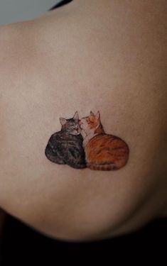 two cats sitting next to each other on the back of a woman's stomach