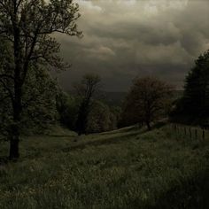 a field with trees and grass under a cloudy sky