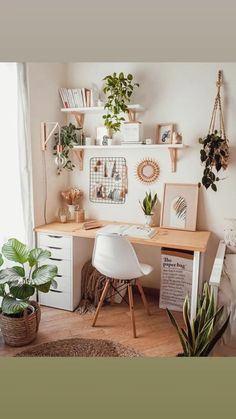 the instagram page on instagram shows an image of a desk with plants and pictures