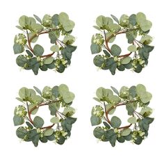 four green leaves and white flowers are arranged in the shape of an oatmeal