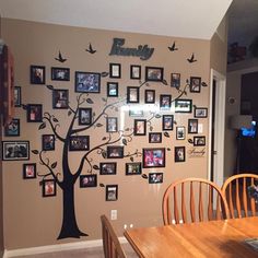 a family tree with pictures hanging on the wall