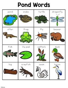 a printable pond words game with animals and plants