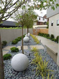 an outdoor garden with rocks and plants