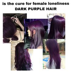 Blackberry Purple Hair, Purple Hair Inspo Color, Purple To Black Hair, Places To Dye Your Hair, Hair Color Ideas Dark Purple, Purple On Black Hair, Dark Black Purple Hair, Black Violet Hair Color, Dark Brown Hair With Color