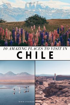 the top 10 amazing places to visit in chile