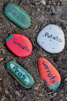 four painted rocks that say potato, tomato, carrots and potatoes on the ground