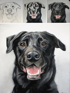 four pictures of black dogs with different colored eyes and their names on them, all in white paper