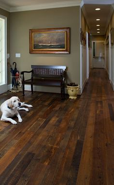 a large white dog laying on top of a hard wood floor next to a bench