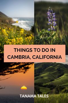 there are four pictures with the words things to do in cambria, california on them