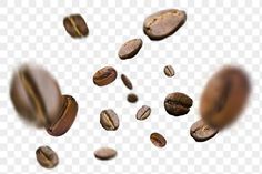 coffee beans falling down into the air on a transparent background, hd png clipart