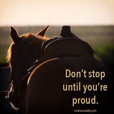 a brown horse standing next to a field with a quote on it's back