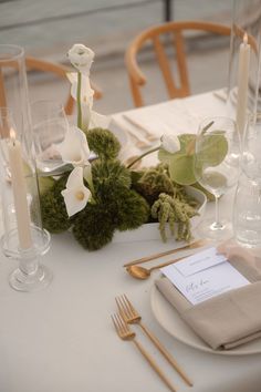 Wedding Table Decorations Tropical, Minimal Wedding Florals, Elegant Minimalist Wedding Decor, Moss Centrepiece, Moss Table Setting, Head Table Floral Arrangement, Minimalist Table Setting Wedding, Wedding Bar Table, Green Tablescape