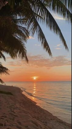 the sun is setting over the ocean with palm trees