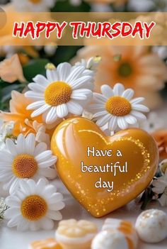 happy thursday have a beautiful day card with daisies and flowers in the background