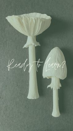 two white mushrooms with the words read to learn? written in cursive writing