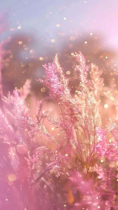 some pink flowers and blurry lights in the background