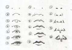 a drawing of different types of eyes and eyebrows, all drawn up in one line