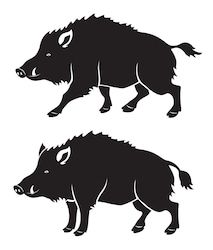 three wild boars running side by side in silhouette on a white background, one black and the other red