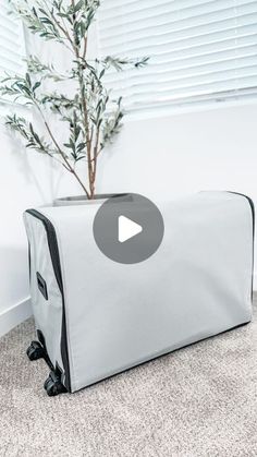 a suitcase sitting on the floor next to a tree