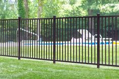 Quality Aluminum At a Great Price.  Direct from Great Railing. Now in stock call 856-875-0050. GreatRailing@hotmail.com Vinyl Privacy Fence, Pvc Fence, Front Fence, Cheap Backyard, Pet Fence, Entrance Gates Design, Lattice Fence