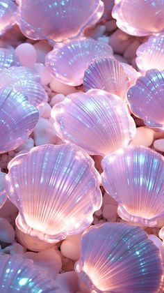 many pink seashells are laying on some white rocks in the water and light up