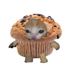 an image of a hamster in a muffin with chocolate chips on it's face