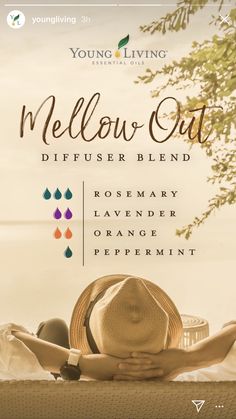 Reading Essential Oil Blend, Simmer Pots, Essential Oil Combinations, Rosemary Lavender, Essential Oil Diffuser Blends Recipes, Lavender Orange, Young Living Essential Oils Recipes, Essential Oils Guide, Essential Oil Diffuser Recipes