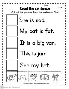 a worksheet for reading the sentence