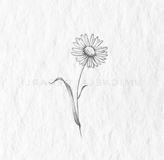 a drawing of a flower on paper with the word love written in black and white