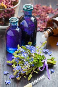 Massage Oil Blends, Diy Cleaning Products Recipes, Essential Oil Plants, Herbal Apothecary, Herbs For Health, Herbs Indoors, Wild Food, Wild Plants, Growing Herbs