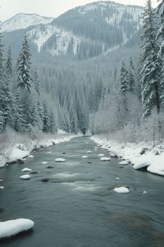 a river surrounded by snow covered trees and evergreens in the distance with mountains in the background