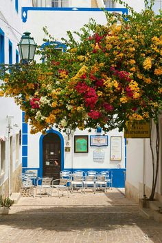 a tree with yellow and red flowers in front of a blue and white building on a cobblestone street