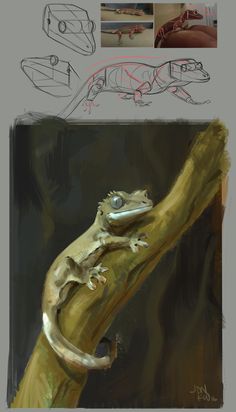 a drawing of a lizard sitting on top of a tree branch with other drawings behind it