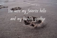 a dog paw prints in the sand with a quote written on it that says, you were my favorite hello and my hardest goodbye