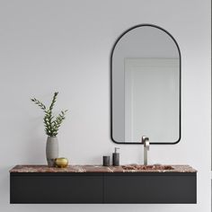 a bathroom sink with a mirror above it and a potted plant on the counter