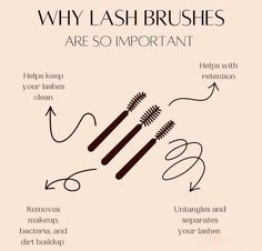 Lash shedding Lash Tech Ig Post, Lash Artist Must Haves, Lash Information, Lash Tech Goodie Bags, Reasons To Get Lash Extensions, Lash Page Ideas, Lash Instagram Story Ideas, Content Ideas For Lash Techs