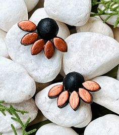 two black and orange flower brooches sitting on white rocks