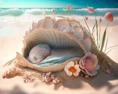 an open shell on the beach with flowers