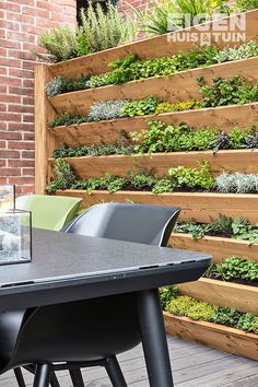 an outdoor seating area with plants growing on the wall