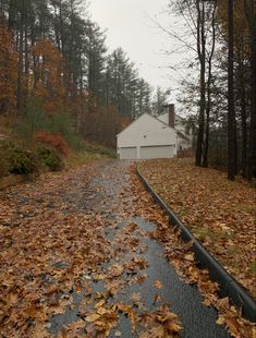 a road with leaves on it and a house in the background, surrounded by trees