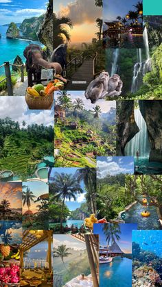 a collage of pictures with animals and people in them, including trees, mountains, water