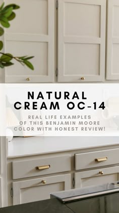 My Candid Review of Natural Cream OC-14 by Benjamin Moore Unmarked Trail Behr Paint, Revere Pewter Vs Natural Cream, Benjamin Moore Cream Cabinet Colors, Benjamin Moore Cool Neutrals, Benjamin Moore Cabinets Colors, Rocky Beach Benjamin Moore, Nimbus Cabinets Benjamin Moore, Nature's Essentials Benjamin Moore, Benjamin Moore Simple White